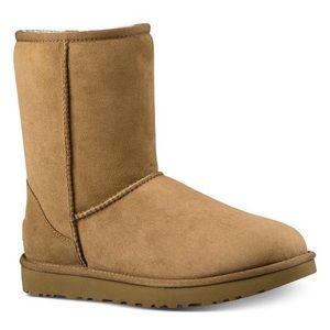 UGG boots in chestnut